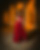 Nightphoto of a woman in a red dress in Vienna